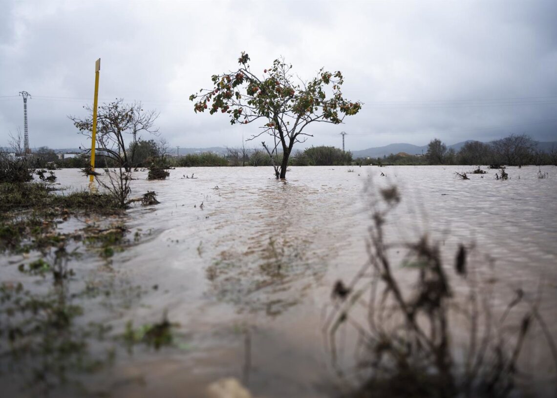 Archivo - Crecida del río Magre, a 29 de octubre de 2024, en Alfarp, Valencia. ARCHIVO. Jorge Gil - Europa Press - Archivo