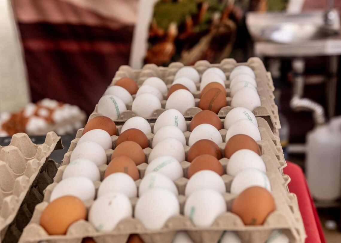 Archivo - Cartones de huevos en un supermercadoRicardo Rubio - Europa Press - Archivo