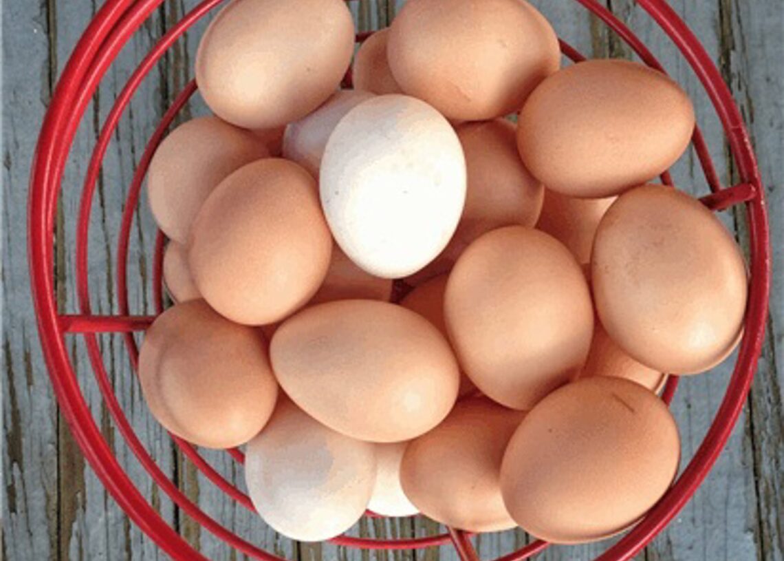 La cárnica brasileña JBS alcanza un acuerdo vinculante para adquirir la estadounidense Hickman's Egg Ranch.AVACU