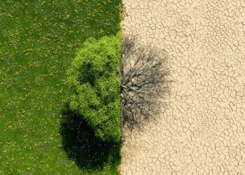 Archivo - Imagen cambio climático informe MapfreANTONIOSOLANO - Archivo