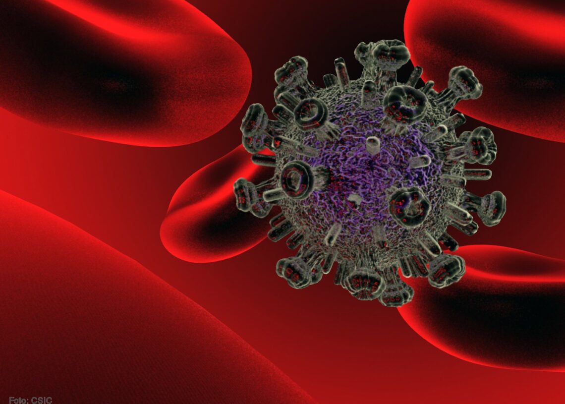 Archivo - Imagen de recurso de la recreación del virus del VIH.CSIC - Archivo