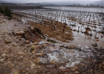 Archivo - Campos de viñedos anegados por el aguaRober Solsona - Europa Press - Archivo