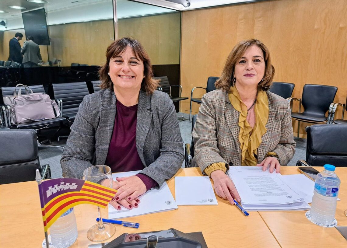 La consellera de Presidencia, Coordinación de la Acción de Gobierno y Cooperación Local, Antònia Maria Estarellas, y la directora general del Tesoro, Política Financiera y Patrimonio, Susana Pérez, este lunes en la reunión del CPFF.CAIB