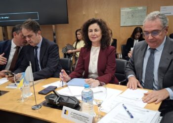 La consejera de Hacienda y Relaciones con la Unión Europea, Matilde AsiánCEDIDO POR GOBIERNO DE CANARIAS