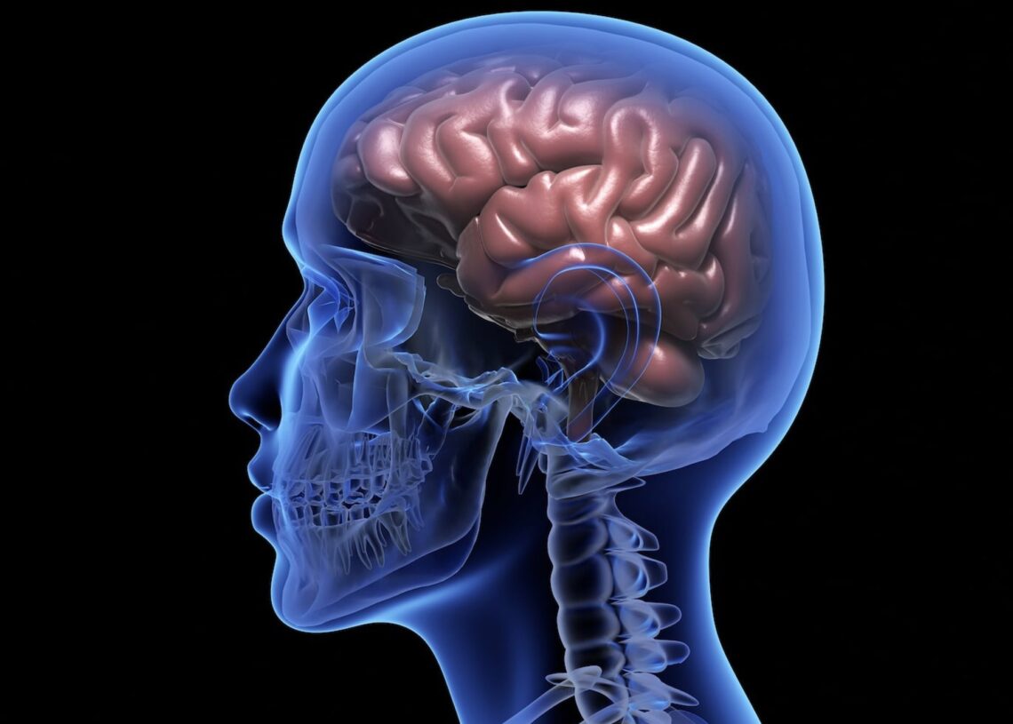 Archivo - Imagen de recurso de un cerebro.HOSPITAL LA LUZ - Archivo