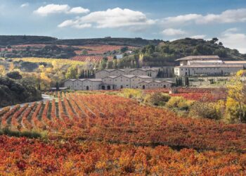 Archivo - Bodega Marqués de MurrietaMARQUÉS DE MURRIETA - Archivo
