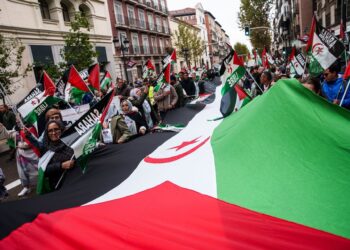 Manifestación ‘50 años de resistencia del pueblo saharaui’, a 15 de noviembre de 2025, en Madrid (España)Matias Chiofalo - Europa Press