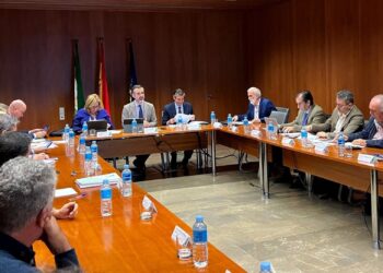 El consejero de Agricultura, Pesca, Agua y Desarrollo Rural, Ramón Fernández- Pacheco, en la reunión de la Mesa de Interlocución Pesquera y Acuícola, celebrada en Sevilla con los representantes del sector.JUNTA DE ANDALUCÍA