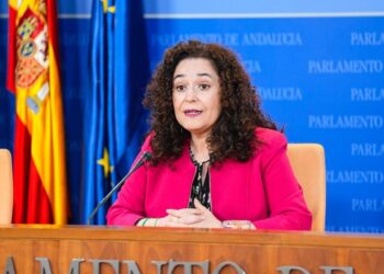 La portavoz del Grupo Por Andalucía, Inma Nieto, este miércoles en rueda de prensa.JOAQUÍN CORCHERO/EUROPA PRESS