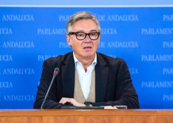 El portavoz de Vox en el Parlamento andaluz, Manuel Gavira, este miércoles en el ParlamentoJOAQUÍN CORCHERO-EUROPA PRESS