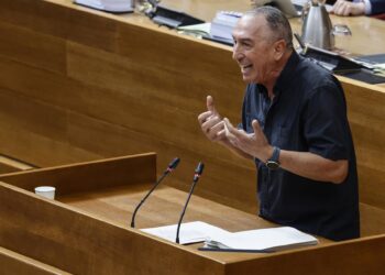 Archivo - El síndic de Compromís, Joan Baldoví, interviene durante una sesión de control en Les CortsRober Solsona - Europa Press - Archivo