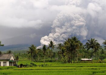 Erupción del volcán Semeru, en el este de la isla de Java, IndonesiaEuropa Press/Contacto/Dwi Sasongko