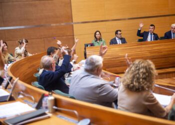 Archivo - Imagen de archivo de un pleno de la Diputación de València. RAQUEL ABULAILA - Archivo