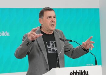 Archivo - El secretario general de EH Bildu, Arnaldo Otegi, ofrece una rueda de prensa para realizar un análisis de la situación política, a 3 de julio de 2025, en San Sebastián, GipuzkoaUnanue - Europa Press - Archivo