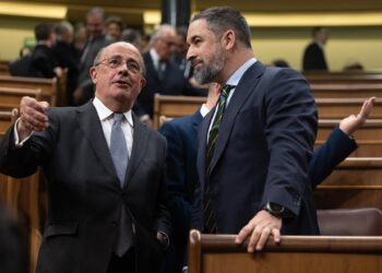 Archivo - El líder de Vox, Santiago Abascal (d), y el diputado de Vox, Ignacio Gil Lázaro (i), durante una sesión plenaria en el Congreso de los DiputadosEduardo Parra - Europa Press - Archivo