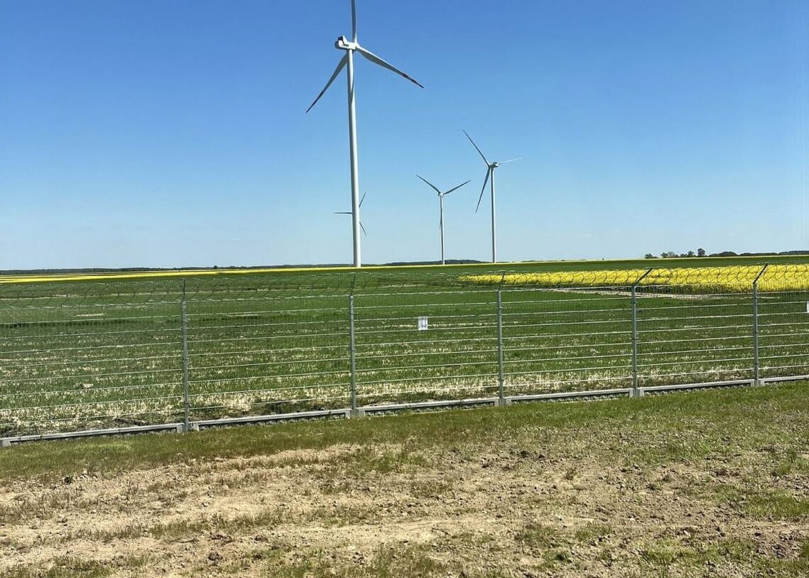 Archivo - Parque eólicoIBERDROLA - Archivo