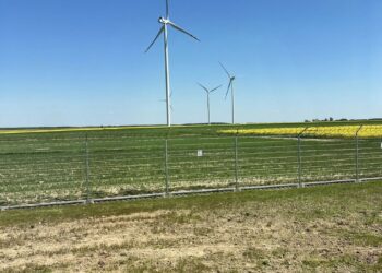 Archivo - Parque eólicoIBERDROLA - Archivo