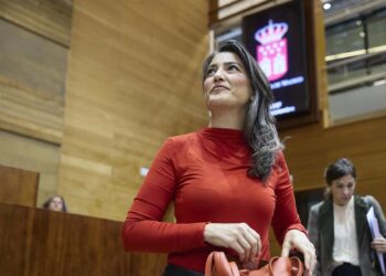 La portavoz de Más Madrid en la Asamblea de Madrid, Manuela Bergerot, a su llegada a un pleno de la Asamblea de Madrid.Jesús Hellín - Europa Press