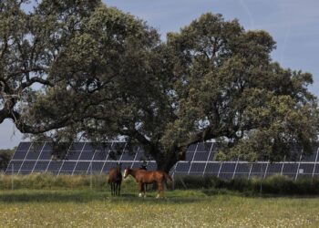Statkraft obtiene la autorización ambiental para dos proyectos solares en Extremadura que suman 205 MWSTATKRAFT