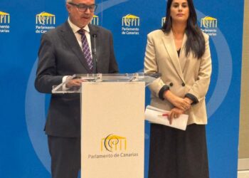 Los diputados del Grupo Nacionalista, José Alberto Díaz-Estébanez y Vidina Espino, en una rueda de prensa para abordar las conclusiones de la comisión de investigación sobre la compra de material sanitarioCC