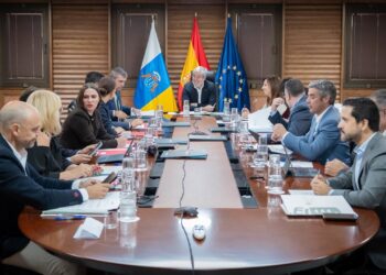 Consejo de Gobierno de CanariasCEDIDO POR GOBIERNO DE CANARIAS