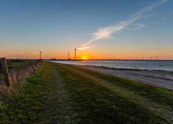 Archivo - ArcadisARCADIS - WIRESTOCK - Archivo