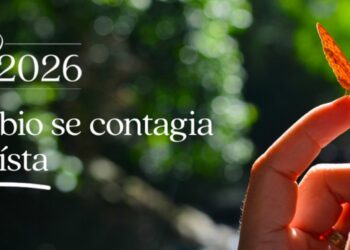 Grupo Piñero anuncia la cuarta edición de sus premios 'Los Más Ecoístas' para Fitur 2026, con tres nuevas categorías.GRUPO PIÑERO