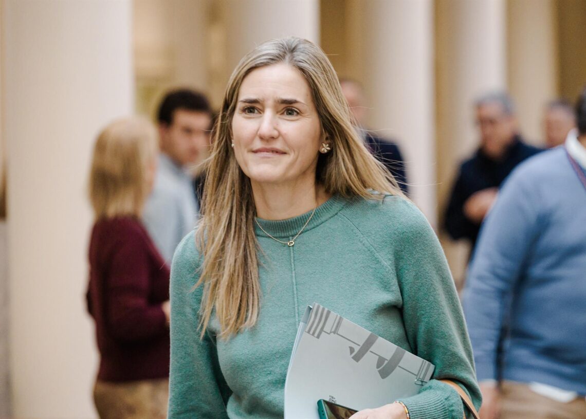 La vicepresidenta tercera y ministra para la Transición Ecológica y Reto Demográfico, Sara Aagesen, a su llegada a una sesión plenaria en el Senado, a 25 de noviembre de 2025, en Madrid (España). Carlos Luján - Europa Press