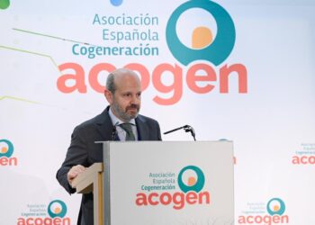 El presidente de Acogen, José Ignacio CastilloACOGEN