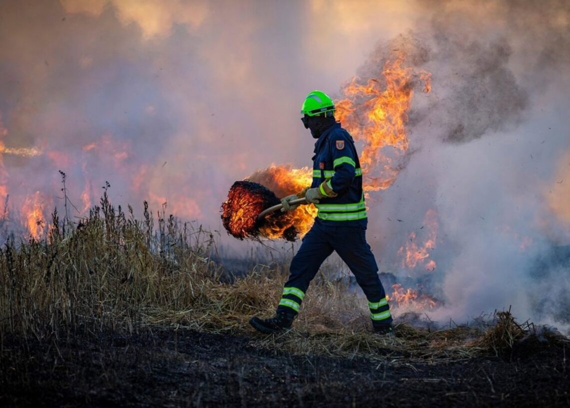 Incendio forestalASOCIACIÓN CLUSTER DE CATÁSTROFES