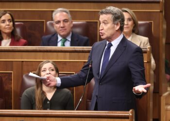 El presidente del Partido Popular, Alberto Núñez Feijóo, interviene durante una sesión de control al Gobierno, en el Congreso de los DiputadosEduardo Parra - Europa Press