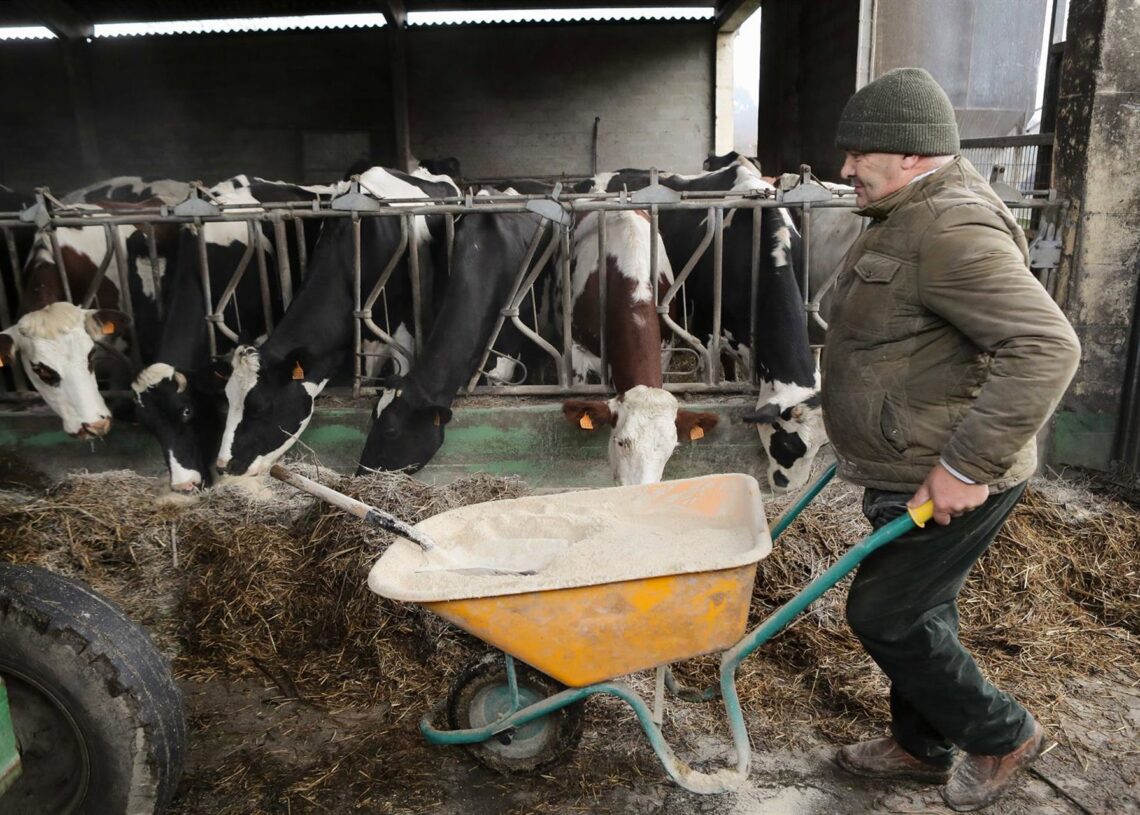 Ganaderos y agricultores en Trabada, a 27 de noviembre de 2025, en Trabada, Lugo, Galicia (España).Carlos Castro - Europa Press
