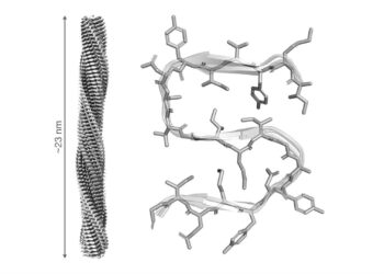 Imagen de la estructura del ensamblaje formado por la proteína RIPK1.IQF-CSIC
