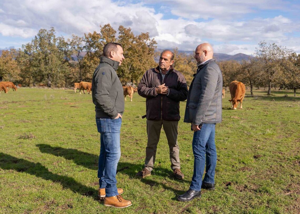Visita del portavoz nacional de Vox de Trabajo y Campo, Rodrigo Alonso, junto al candidato de este partido a la Presidencia de la Junta, Óscar Fernández, a una explotación en Tejeda de TiétarVOX
