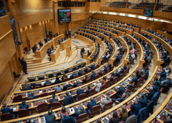 Foto del Pleno de este miércoles, 19 de noviembre, durante la sesión plenaria en la que se ha debatido la toma en consideración de la reforma del Código Penal en materia de okupación | SENADO