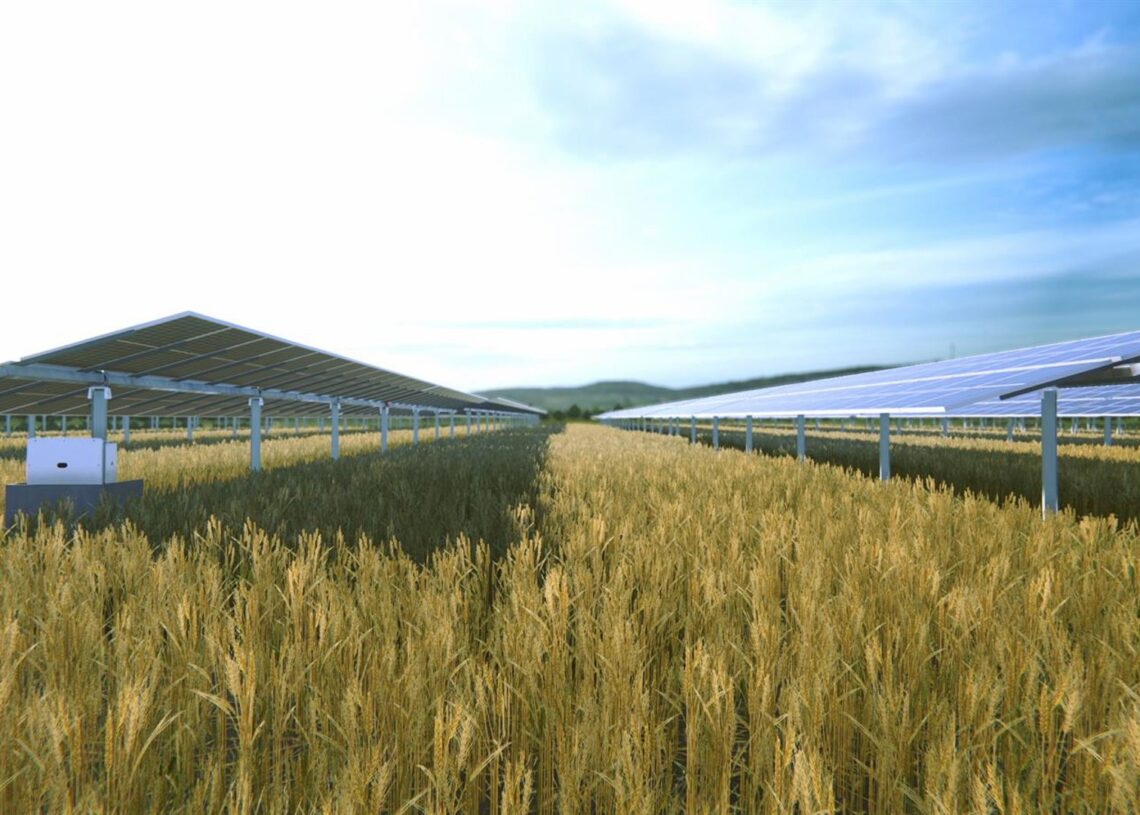 Archivo - Soltec se alía con TSE para el desarrollo de productos agrivoltaicos en el mercado francésSOLTEC - Archivo