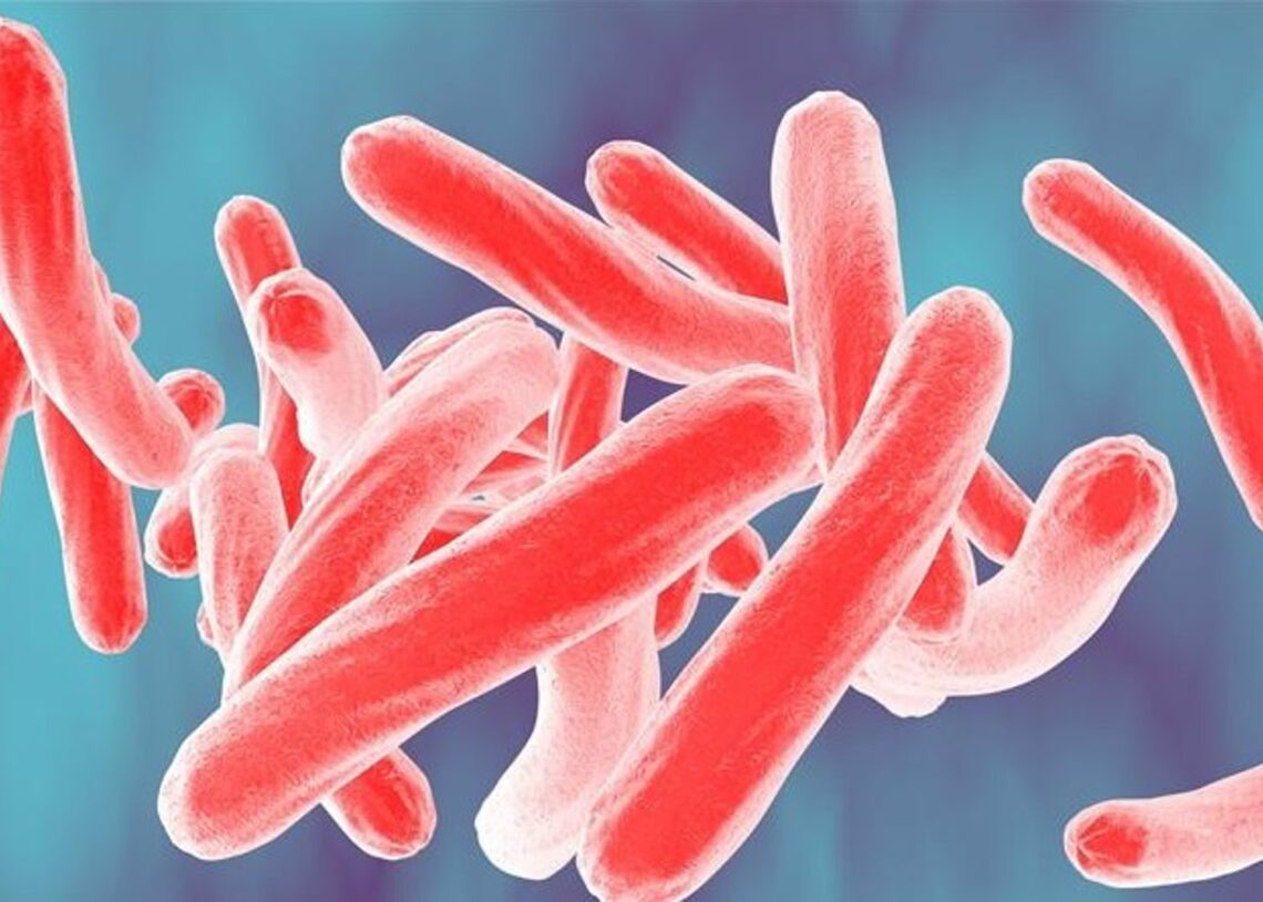 Archivo - Nueva cepa multirresistente de tuberculosisUNIVERSIDAD DE ZURICH - Archivo