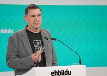 Archivo - El secretario genertal de EH Bildu, Arnaldo OtegiUNANUE-EUROPA PRESS - Archivo
