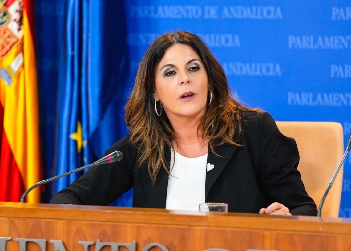 La portavoz adjunta del Grupo Socialista en el Parlamento andaluz, Ángeles Férriz, en rueda de prensa.JOAQUÍN CORCHERO/EUROPA PRESS