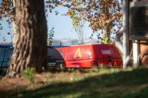 Se eleva a 9 el número de jabalíes afectados por la peste porcina africana en Cataluña