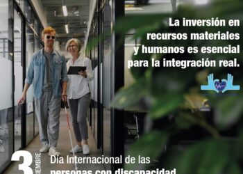 Imagen del cartel del Día Internacional de las Personas con Discapacidad.SAE