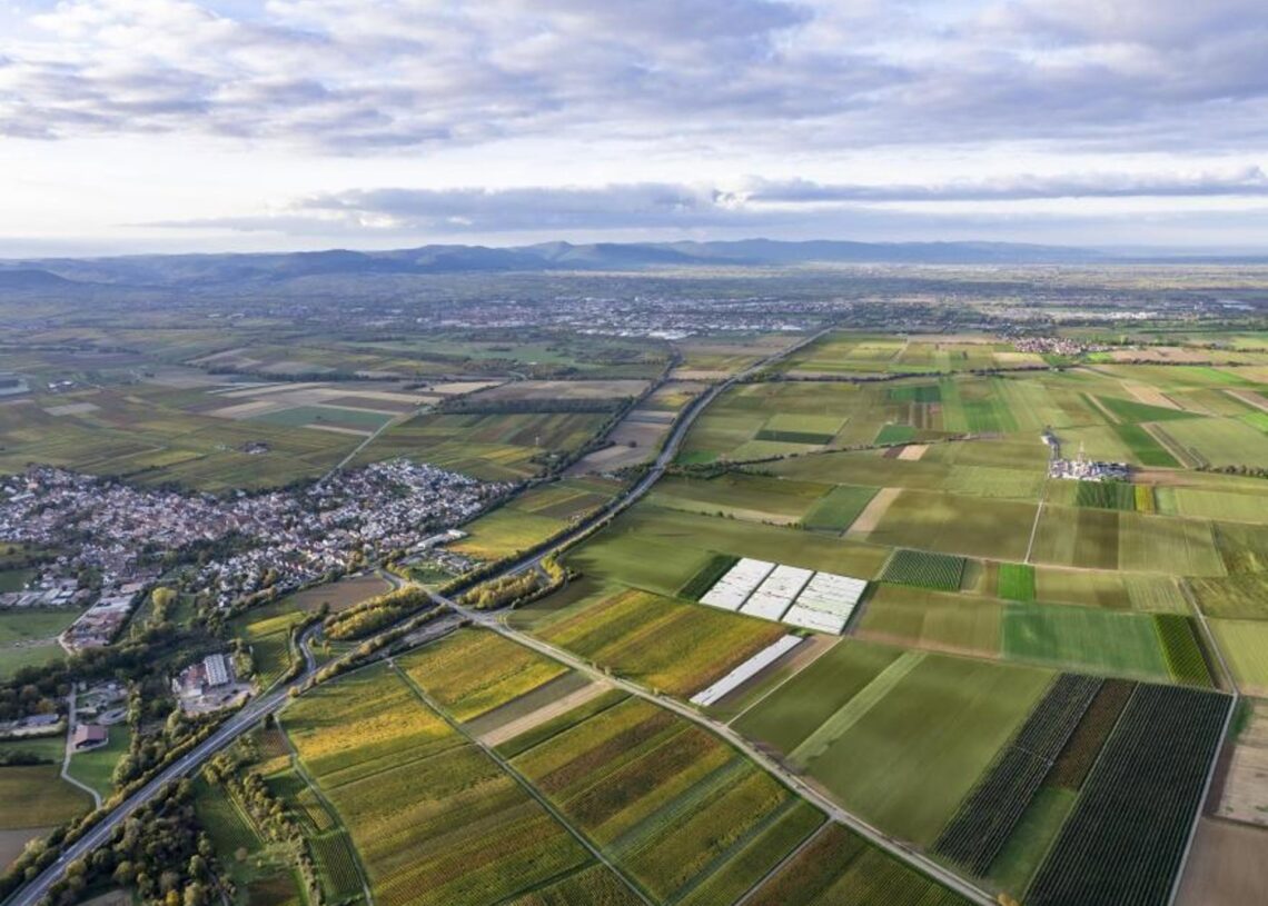 Ubicación del proyecto Lionheart en el valle del Alto RinACS