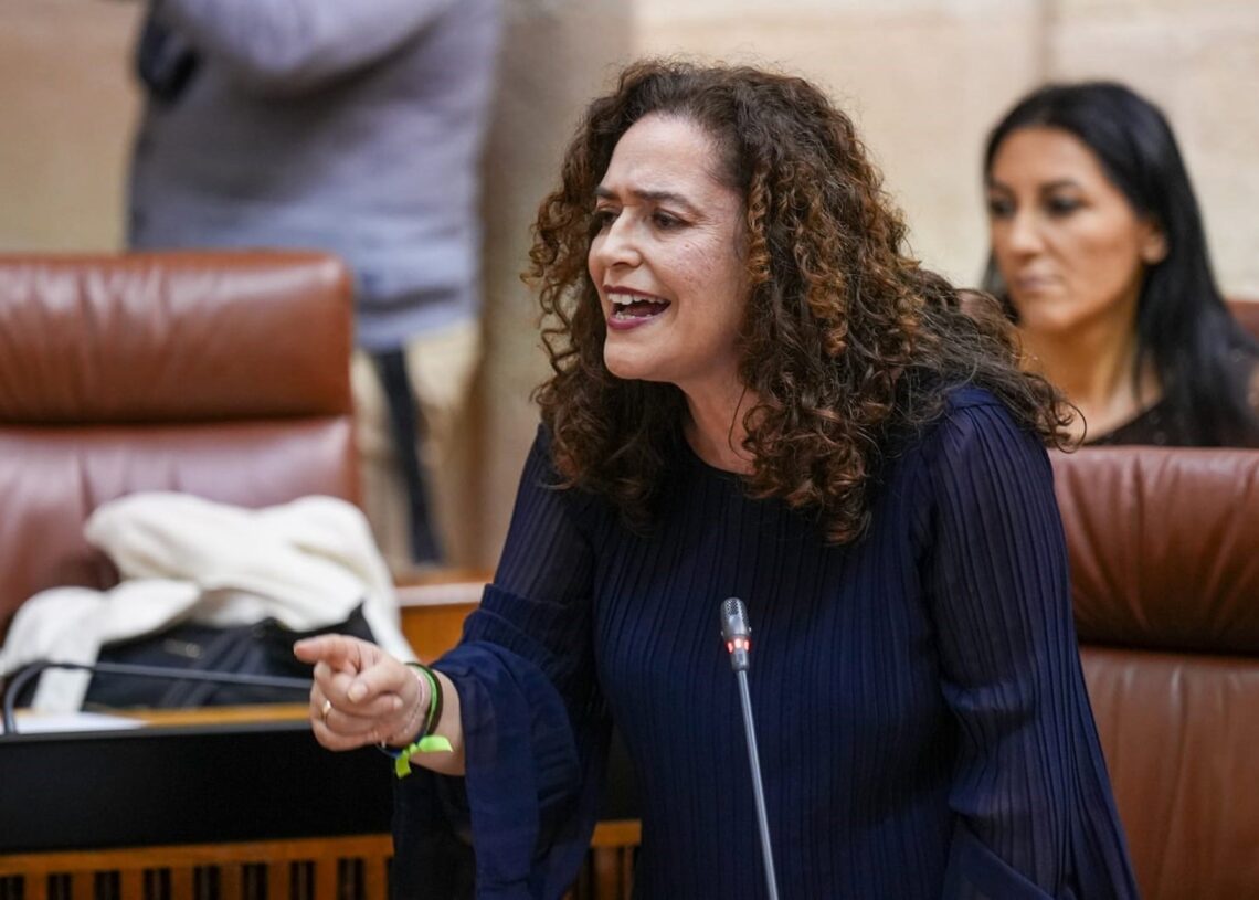 La portavoz de Por Andalucía, Inmaculada Nieto, en la sesión del Pleno del 3 de diciembre de 2025.FRANCISCO J. OLMO / EUROPA PRESS