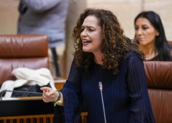La portavoz de Por Andalucía, Inmaculada Nieto, en la sesión del Pleno del 3 de diciembre de 2025.FRANCISCO J. OLMO / EUROPA PRESS