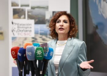 La vicepresidenta primera del Gobierno y ministra de Hacienda, María Jesús Montero, atiende a los medios en una visita a la Estación Biológica de Doñana, en Sevilla.ROCÍO RUZ/EUROPA PRESS