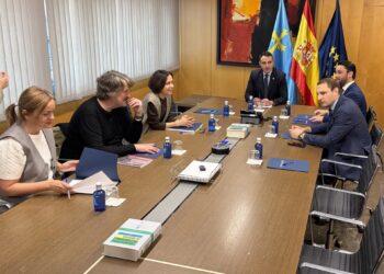 El consejero de Hacienda, Guillermo Peláez, presidiendo la reunión de la mesa de financiación.PRINCIPADO