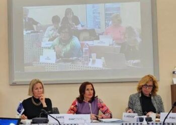 La diputada socialista Luz Martínez Seijo, nombrada este miércoles relatora general sobre Violencia contra la Mujer de la Asamblea Parlamentaria del Consejo de Europa y presidenta de la Red parlamentaria Mujeres Libres de Violencia.PSOE CONGRESO