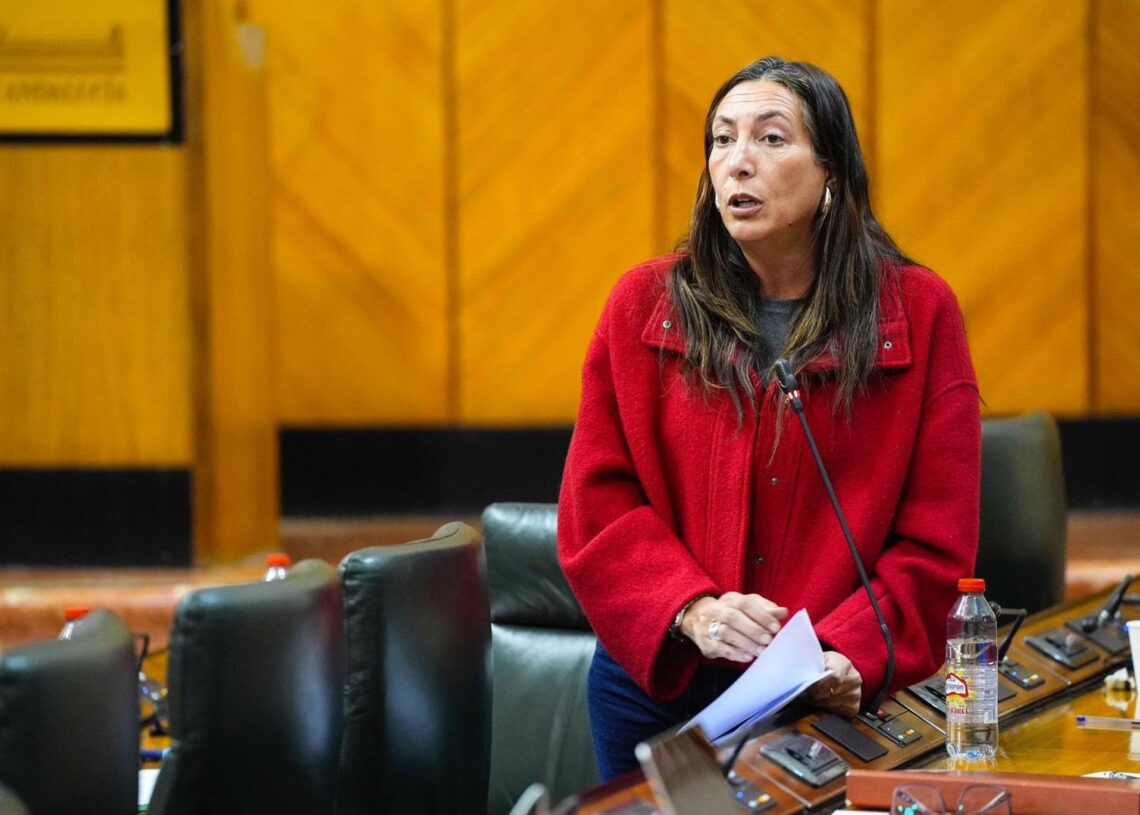 La consejera de Inclusión Social, Juventud, Familias e Igualdad de la Junta de Andalucía, Loles López, en la sesión de control del Parlamento andaluz. (Foto de archivo).JOAQUIN CORCHERO/ PARLAMENTO DE ANDALUCÍA