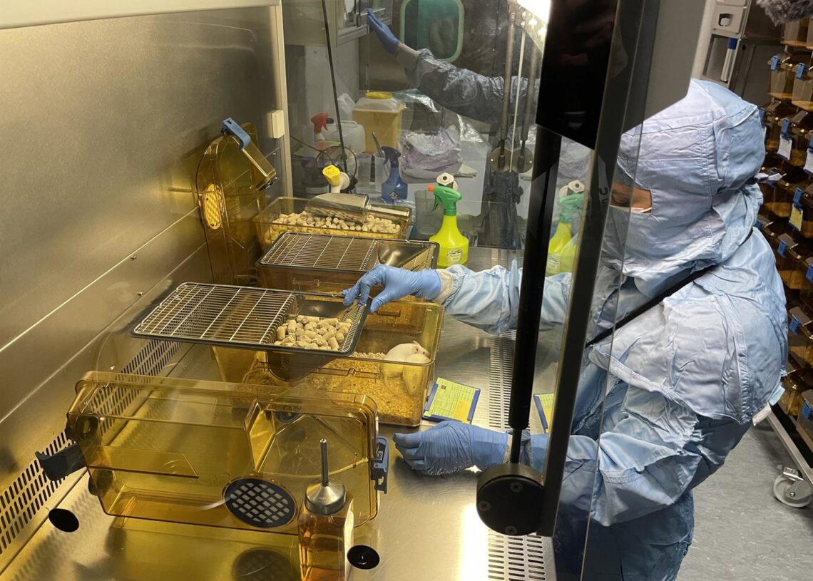 Imagen del Proyecto Cunina.FUNDACIÓN UNOENTRECIENMIL