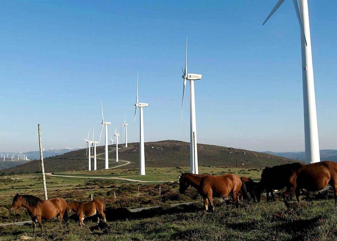 Parque eólicoENDESA